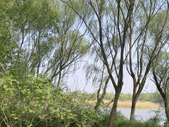 -南海子公园
