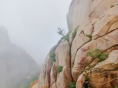 -崂山巨峰游览区