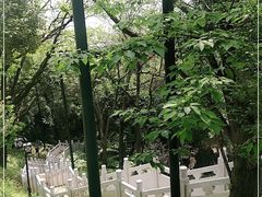 -龟山风景区-龟山电视塔