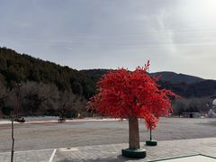 -小赖鱼馆