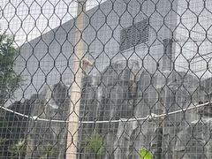 -武汉动物园