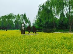 -北坞公园