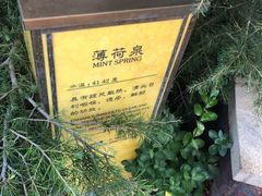 -大连金石滩绿发温泉假日酒店