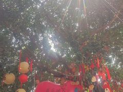 -磁器口古镇
