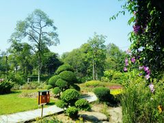 -广西壮族自治区药用植物园