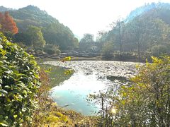 -桃花岭景区