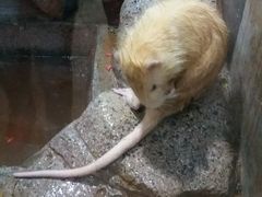 -福州罗源湾海洋世界旅游区