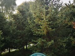 -西安浐灞国家湿地公园