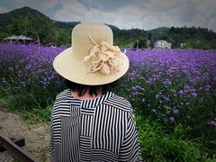 -名花谷生态庄园