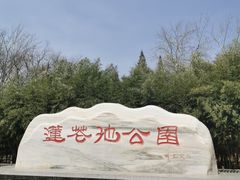 -莲花池公园