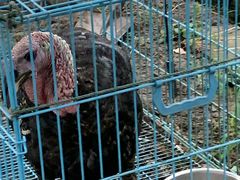 -美家乐农庄·露营·团建(大治路店)