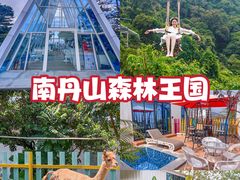 -南丹山森林王国