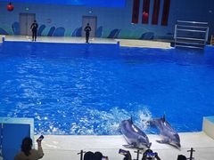 -石家庄极地海洋世界