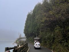 -武陵山森林公园