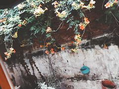 -猫的天空之城概念书店(西塘古镇店)