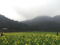 -广州市石门国家森林公园