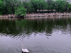 -石家庄市动物园