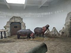 -新疆天山野生动物园