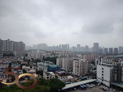 -福道