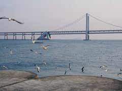 -星海广场