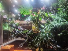 -森味薪火烧•烧鸟居酒屋•日本料理(望京店)