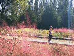 -永定河休闲森林公园