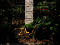 -人民公园(罗湖区)