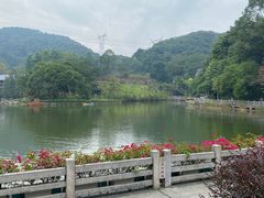 -广州市帽峰山景区