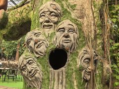 -呀路古热带植物园