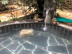 -明月山天沐温泉度假村