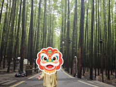 -山王坪喀斯特国家生态公园