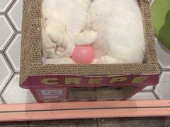 -星巴克(凯德晶萃店)