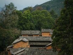 -杨家堂村