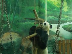 -五龙山野生动物王国