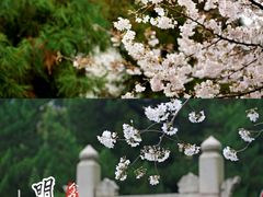 -南京城墙景区