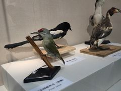 -国家自然博物馆