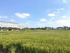 -鹅湖玫瑰文化园