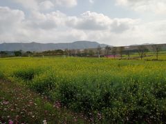 -光明小镇欢乐田园