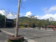 -海南槟榔谷黎苗文化旅游区