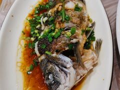 -金海湾海鲜排档(朱家尖店)