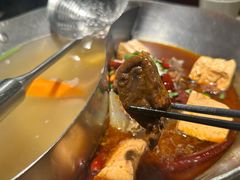 特色牛腩鸳鸯-左庭右院鲜牛肉火锅(苏州园区永旺店)