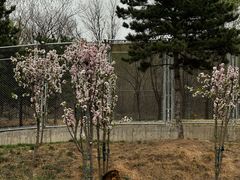 -石家庄市动物园