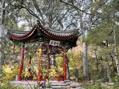 -香山公园