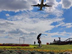 -空港花田景区