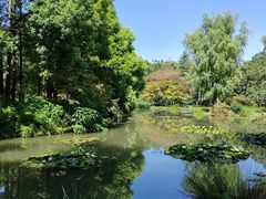 -洛阳市隋唐城遗址植物园