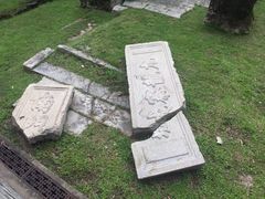 -九龙公园