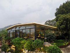 -蘇河湾·新鲁菜·泰山宴(泰山店)