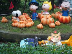 游乐设施-史努比缤纷世界