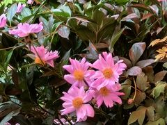 -洛阳市隋唐城遗址植物园