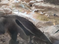 -长鹿旅游休博园